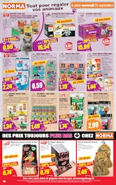 Barbecue en promo dans le catalogue Norma à la page 10