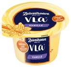 Vla Vanille im Angebot bei REWE in Menden Vla Vanille Angebote von Zuivelhoeve bei REWE Menden für 0,55 €