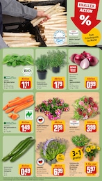 REWE Schinken im Prospekt REWE Schinken im Prospekt
