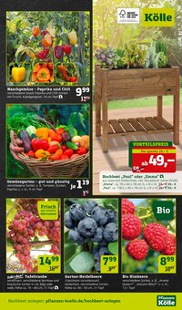 Obststräucher im Pflanzen Kölle Prospekt "Holen Sie sich den Frühling in Haus und Garten!" mit 16 Seiten (München)