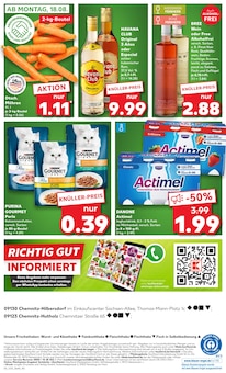 Katzenfutter im Kaufland Prospekt "KNÜLLER" mit 58 Seiten (Chemnitz)