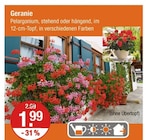 Angebot im V-Markt Pentling Prospekt V-Markt Pentling Prospekt mit im Angebot für 1,99 €