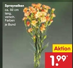 Spraynelken von  im aktuellen Netto Marken-Discount Prospekt für 1,99 €