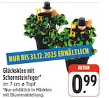 Glücksklee mit Schornsteinfeger bei nah und gut im Prospekt "" für 0,99 €