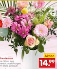 Aktuelles Freudentanz Angebot bei Netto Marken-Discount in Augsburg ab 14,99 €