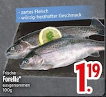 Frische Forelle Angebote bei EDEKA Regensburg für 1,19 €