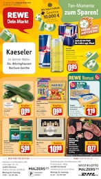 REWE Prospekt für Castrop-Rauxel mit 33 Seiten REWE Prospekt für Castrop-Rauxel: "Dein Markt", 33 Seiten, 29.06.2026 - 04.07.2026