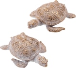 dm-drogerie markt Valwig - Schildkröte, weiß-gold Angebot im Prospekt Schildkröte, weiß-gold bei dm-drogerie markt im Valwig Prospekt für 4,25 €