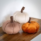 Mini citrouille tissu dans le catalogue B&M