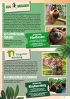 Kindertageskarten Angebote von Zoo Dresden bei E center Erlangen