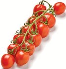 Aktuelles Mini-Pflaumen-Rispentomaten Angebot bei Netto mit dem Scottie in Rostock ab 1,79 €