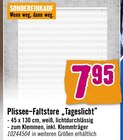 Plissee-Faltstore „Tageslicht“ im Angebot bei Hornbach in Ettlingen Plissee-Faltstore „Tageslicht“ Angebote bei Hornbach Ettlingen für 7,95 €