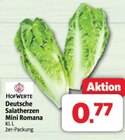 Deutsche Salatherzen Mini Romana bei nah&frisch im Bückeburg Prospekt für 0,77 €