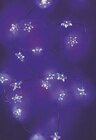 Guirlande étoiles 20 microleds dans le catalogue Super U