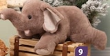 ELEFANT von Teddy im aktuellen Müller Prospekt für 34,99 €