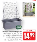Aktuelles Pflanzkasten mit Spalier Angebot bei E center in Darmstadt ab 14,99 €