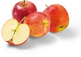 Äpfel rot bei Netto Marken-Discount im Prospekt "" für 2,29 €
