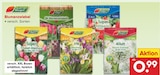 Blumenzwiebel Tulpen im Angebot bei Netto Marken-Discount in Fürth Blumenzwiebel Tulpen Angebote bei Netto Marken-Discount Fürth für 0,99 €