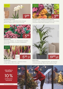 Orchidee im aktuellen Pflanzen Kölle Prospekt (Nürnberg) Orchidee im Pflanzen Kölle Prospekt "5€ NACHLASS" mit 2 Seiten (Nürnberg)