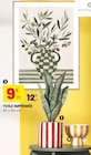 Plante verte en promo chez Stokomani Plante verte dans le catalogue Stokomani