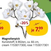 Gartenpflanzen im aktuellen ROLLER Prospekt für €7.99