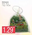 Ostergras bei EDEKA im Prospekt "" für 1,29 €