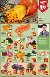 Kürbis Angebot & Preis im aktuellen REWE Prospekt Kürbis Angebot im aktuellen REWE Prospekt auf Seite 11