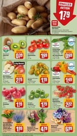 Ähnliche Angebote wie Zitronenbaum im Prospekt "Dein Markt" auf Seite 11 von REWE in Kempten