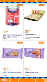 Picknickdecke im Action Prospekt in Görlitz Aktueller Action Prospekt mit Picknickdecke, "kleine Preise, grosse Freude!", Seite 17