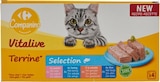 Aliment complet pour chats adultes - CARREFOUR COMPANINO VITALIVE dans le catalogue Carrefour