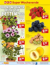 Aktueller Netto Marken-Discount Prospekt mit Erdbeeren, "Aktuelle Angebote", Seite 48