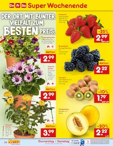 Blumen im Netto Marken-Discount Prospekt "Aktuelle Angebote" mit 60 Seiten (Karlsruhe)