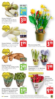 Pflanzen im EDEKA Prospekt "Aktuelle Angebote" mit 55 Seiten (Ulm)