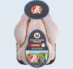 Poulet fermier label rouge prêt à cuire - U - U Express Poulet fermier label rouge prêt à cuire - U à 4,35 € dans le catalogue U Express