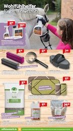 Autopflege Angebot im aktuellen Raiffeisenmarkt Prospekt auf Seite 6