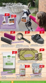 Öl im Raiffeisenmarkt Prospekt in Bremen Aktueller Raiffeisenmarkt Prospekt mit Öl, "Komfort und Genuss für deine Lieblinge!", Seite 6