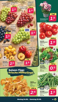 Pfifferlinge im aktuellen Netto mit dem Scottie Prospekt (Rostock) Pfifferlinge im Netto mit dem Scottie Prospekt "Günstig. Besser. Für Dich." mit 33 Seiten (Rostock)