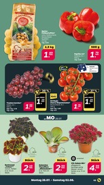 Aktueller Netto mit dem Scottie Prospekt mit Paprika, "Günstig. Besser. Für Dich.", Seite 3