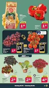 Kartoffeln im aktuellen Netto mit dem Scottie Prospekt (Cottbus) Kartoffeln im Netto mit dem Scottie Prospekt "GĂĽnstig. Besser. FĂĽr Dich." mit 36 Seiten (Cottbus)