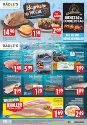 Matjes im E center Prospekt in Mönchengladbach Aktueller E center Prospekt mit Matjes, "Aktuelle Angebote", Seite 32