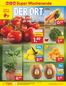 Pflanzen im Netto Marken-Discount Prospekt "Aktuelle Angebote" mit 53 Seiten (Paderborn)