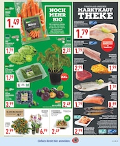 Fisch im Marktkauf Prospekt in Dinslaken Aktueller Marktkauf Prospekt mit Fisch, "Aktuelle Angebote", Seite 7