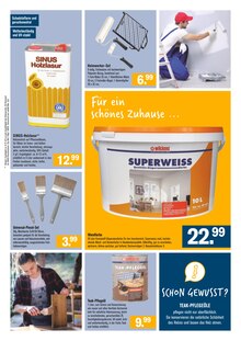 Pinsel im Werkmarkt Probst Prospekt "Unsere aktuelle Werbung" mit 8 Seiten (Regensburg)