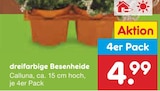 dreifarbige Besenheide im Netto Marken-Discount Prospekt dreifarbige Besenheide von im aktuellen Netto Marken-Discount Prospekt fĂŒr 4,99 âŹ
