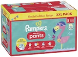 Baby-Dry Windeln/Pants Angebote von Pampers bei Metro Bergheim für 28,55 €