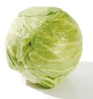 Weißkohl bei Netto mit dem Scottie im Dessau-Roßlau Prospekt für 1,29 €