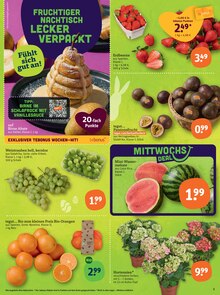 Erdbeeren im tegut Prospekt "tegut… gute Lebensmittel" mit 23 Seiten (Jena)