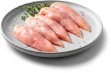 Hähnchen-Innenfilet im Angebot bei Netto Marken-Discount in Moers Hähnchen-Innenfilet Angebote von Gut Ponholz bei Netto Marken-Discount Moers für 3,99 €