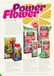 Aktueller RHG Baucentrum Prospekt mit Blumenerde, "Der Katalog für Gartengestaltung, Gartenpflege und Gartenfreizeit.", Seite 218