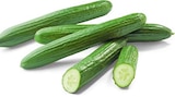 Gurken Angebote bei Netto Marken-Discount Ahlen für 0,59 €